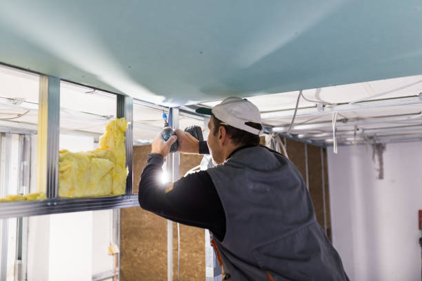 Best Local Insulation Services  in Cave City, AR