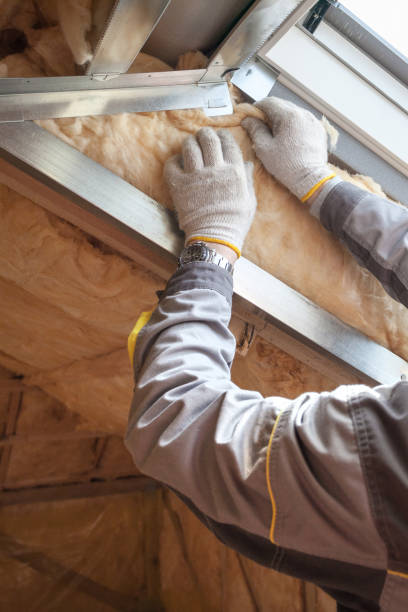 Professional Insulation Contractor in Cave City, AR